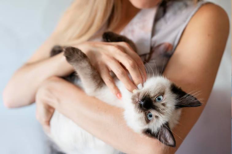 A person holding a cat